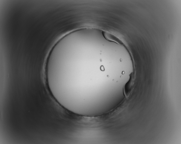 X0000088051056200705251318