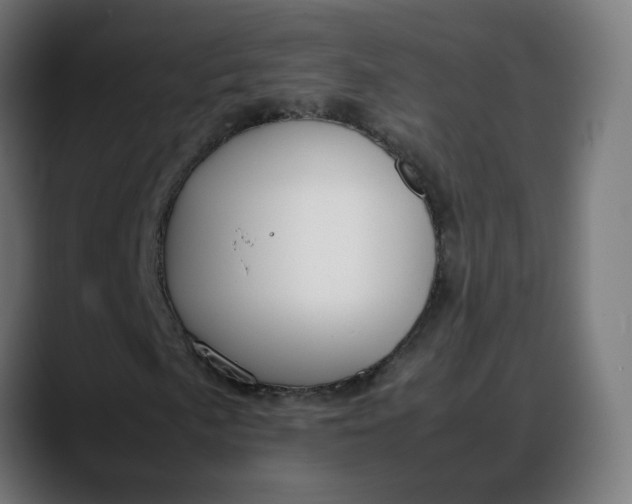 X0000088051057200705251318