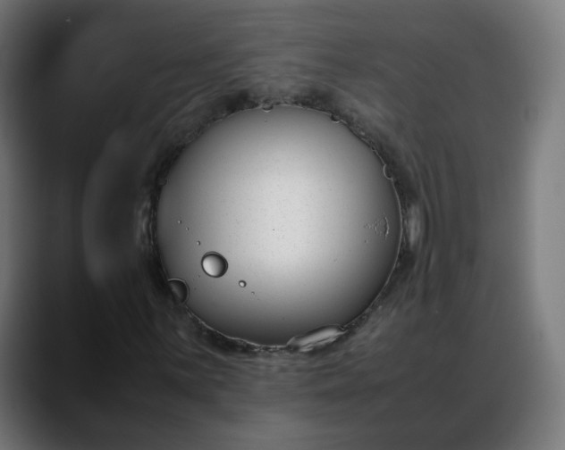 X0000088051059200705251318