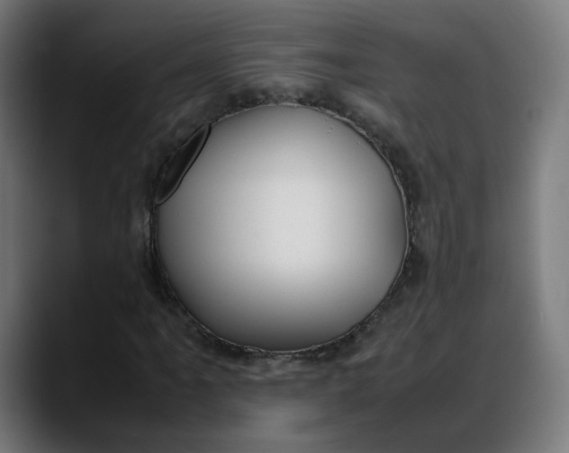 X0000088051061200705251318