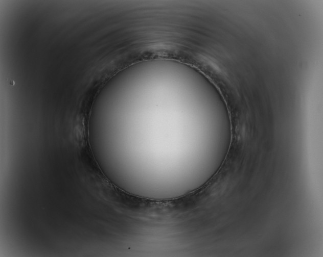 X0000088051062200705251318