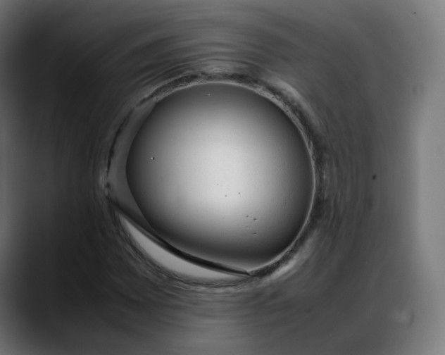 X0000088051065200705251317