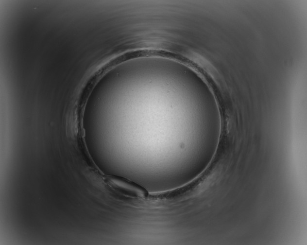 X0000088051069200705251317