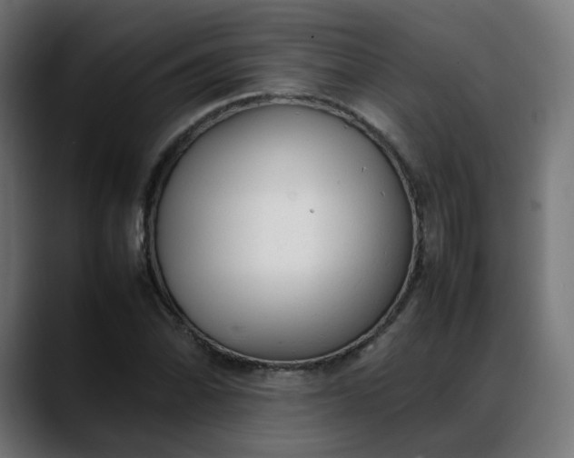 X0000088051070200705251317