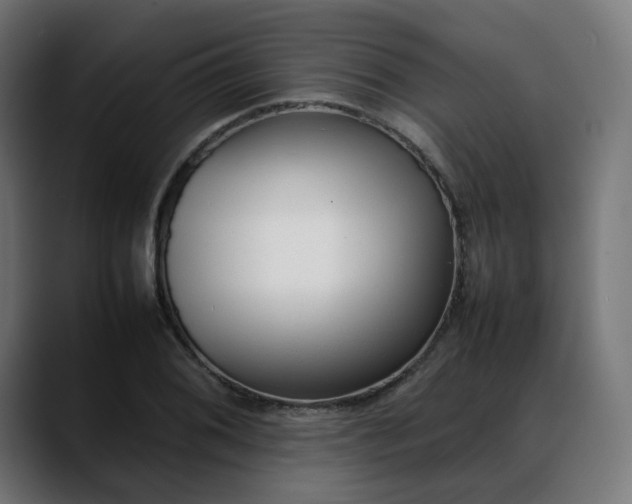 X0000088051076200705251317