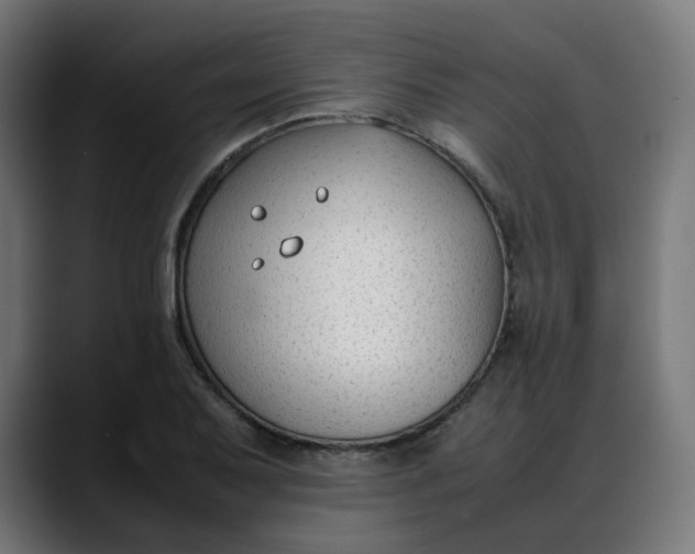 X0000088051079200705251317