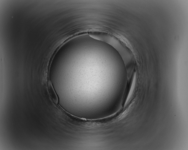 X0000088051081200705251317