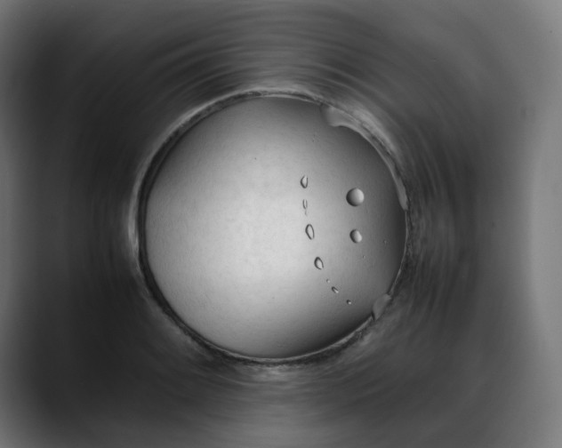 X0000088051084200705251317
