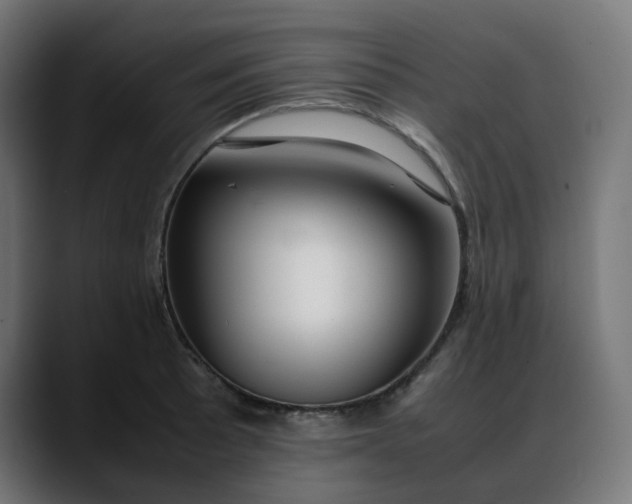 X0000088051089200705251317