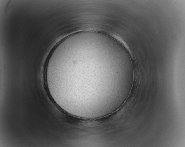 X0000088051091200705251317
