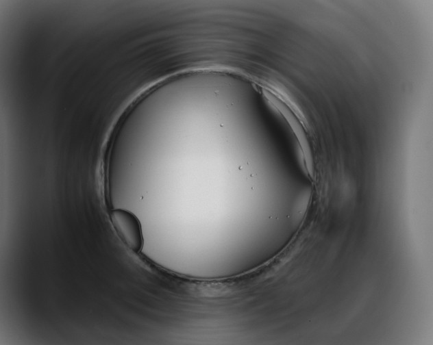 X0000088051092200705251317