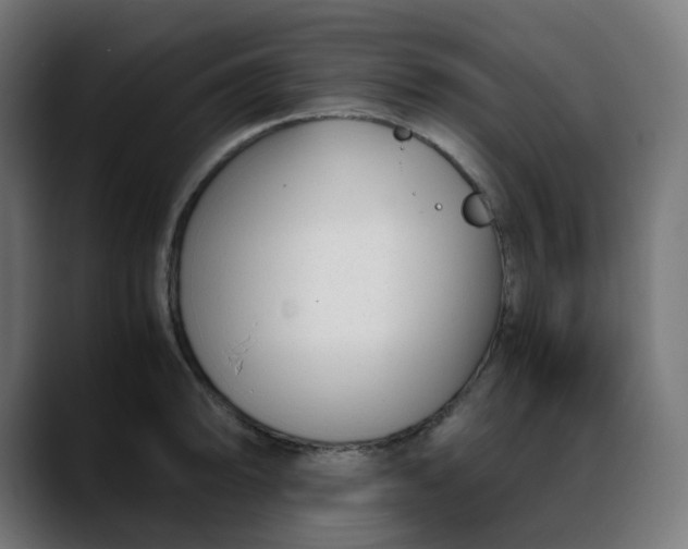 X0000088051094200705251317