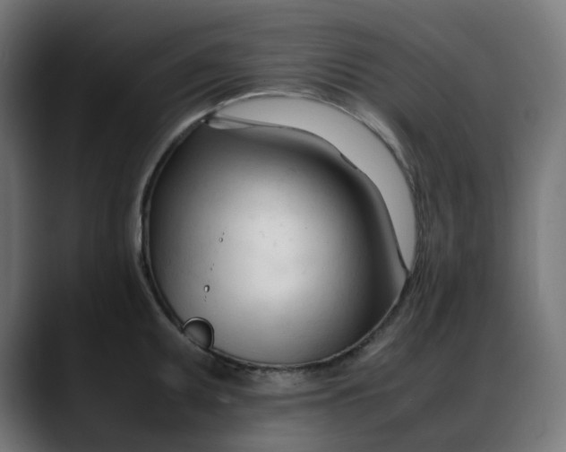 X0000088051095200705251317