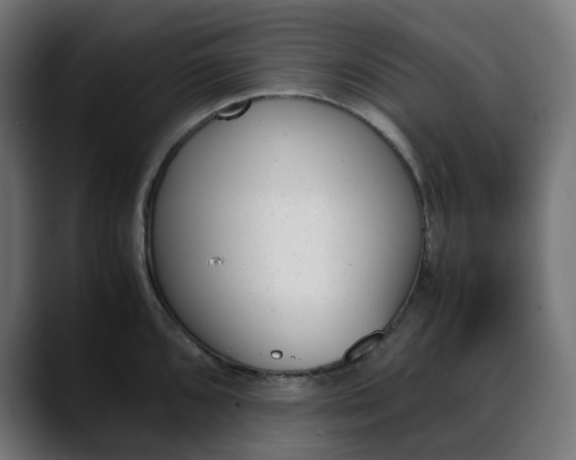 X0000088051096200705251317