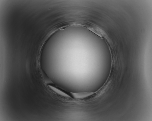 X0000088051097200705251317