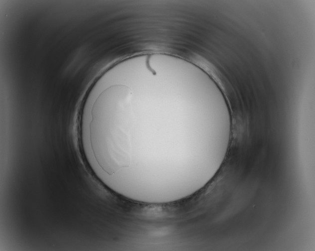 X0000088051098200705251317