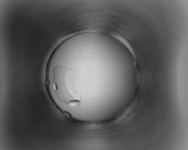 X0000088051099200705251317