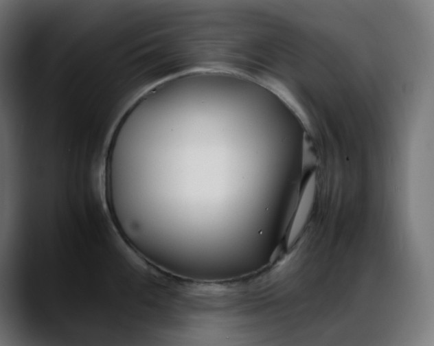 X0000088051100200705251317