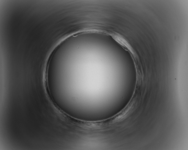 X0000088051101200705251317