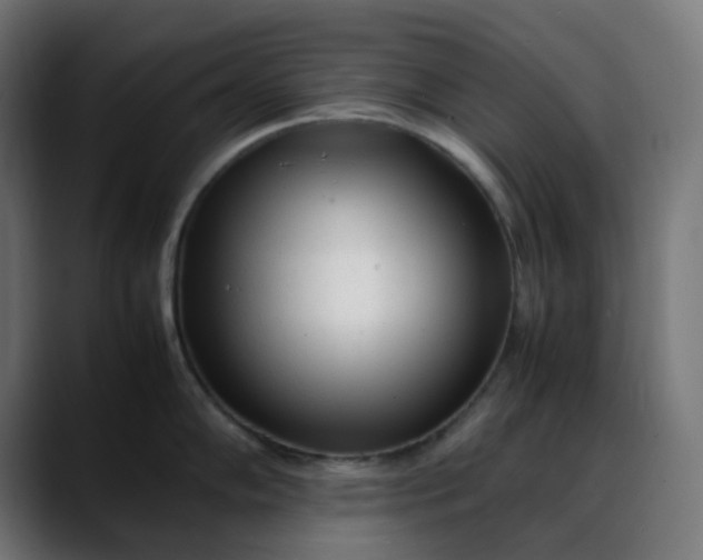 X0000088051102200705251317