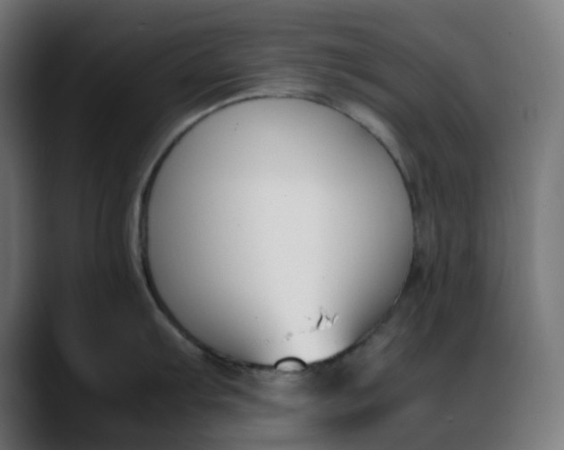X0000088051103200705251317