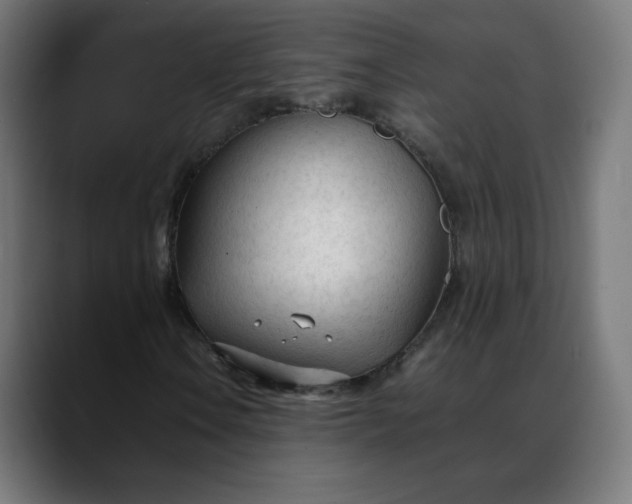 X0000088051106200705251316
