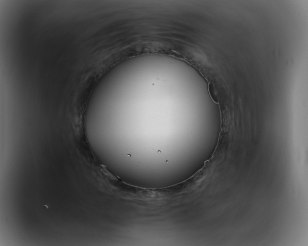X0000088051109200705251316