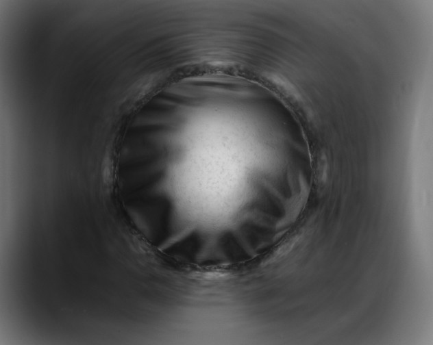 X0000088051110200705251316