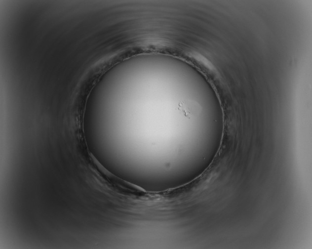X0000088051112200705251316