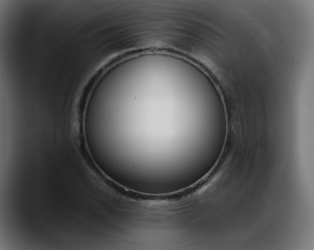 X0000088051118200705251317