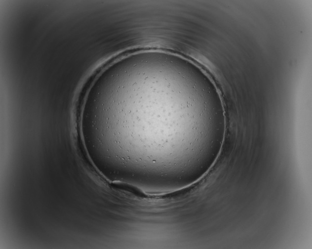 X0000088051120200705251317