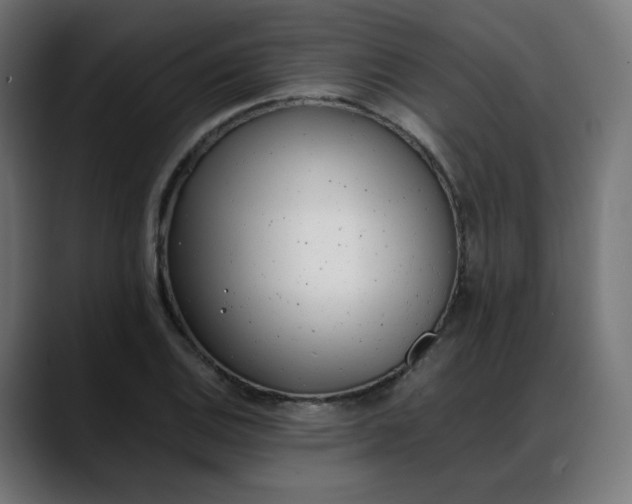 X0000088051124200705251317