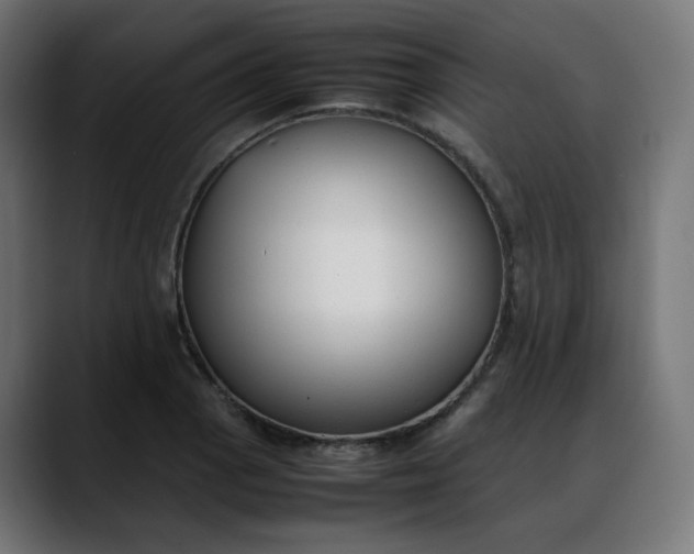 X0000088051129200705251317