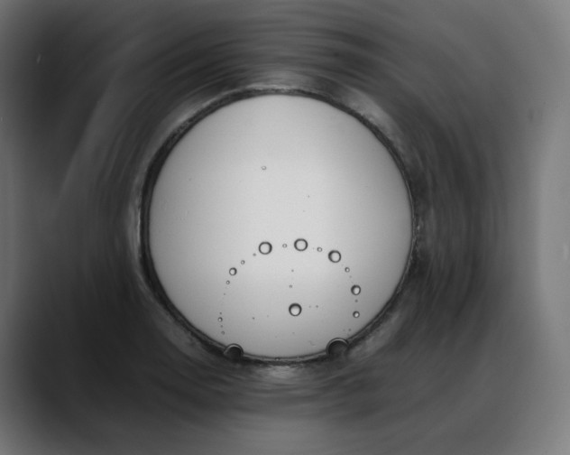 X0000088051130200705251317