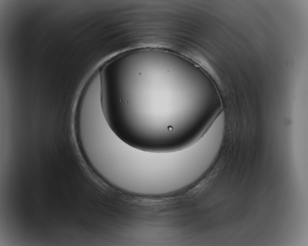 X0000088051132200705251317