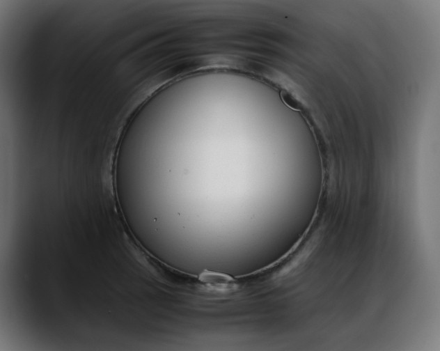 X0000088051137200705251317
