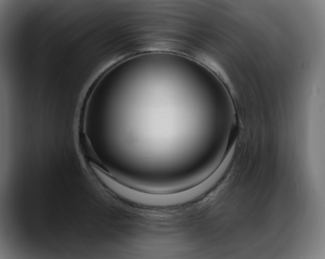 X0000088051138200705251317