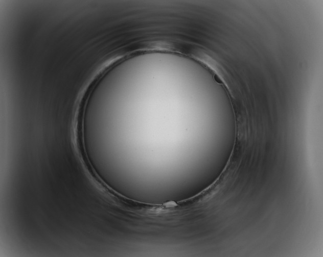 X0000088051139200705251317