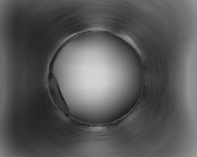 X0000088051140200705251317