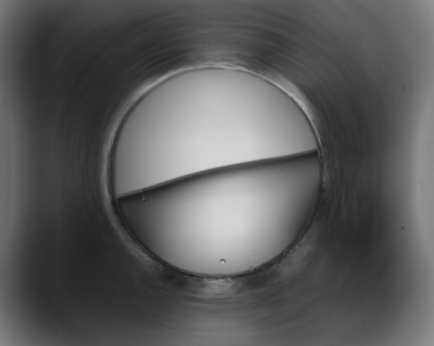 X0000088051144200705251317