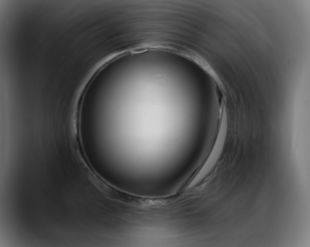 X0000088051148200705251317
