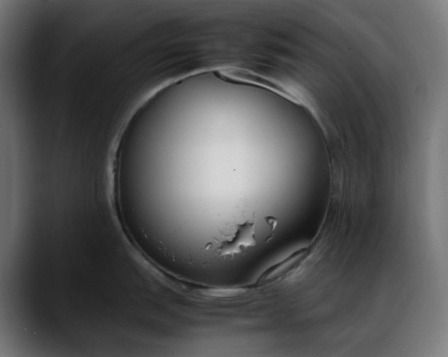 X0000088051151200705251317