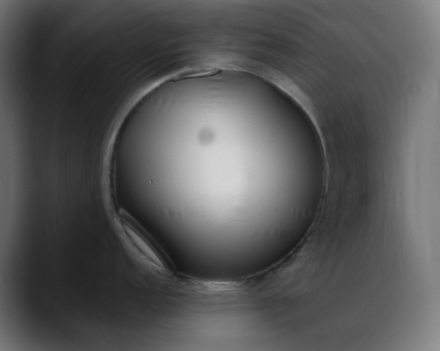 X0000088051152200705251317