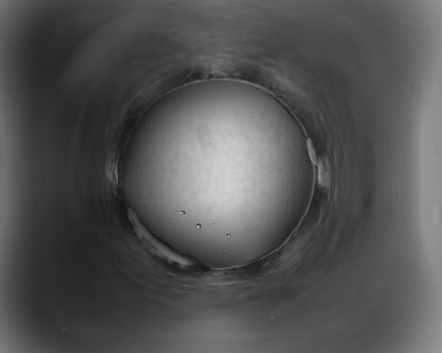 X0000088051155200705251316