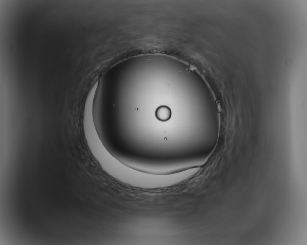 X0000088051157200705251316