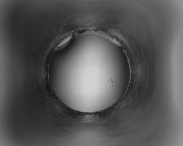 X0000088051160200705251316