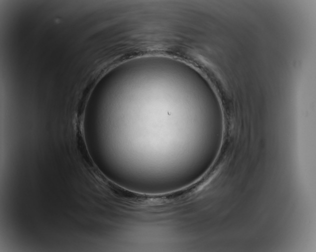 X0000088051161200705251316