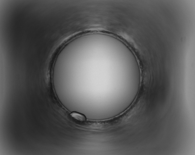 X0000088051167200705251316