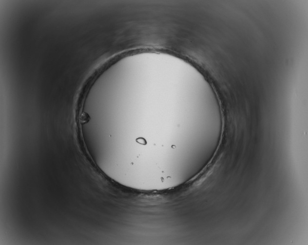 X0000088051168200705251316