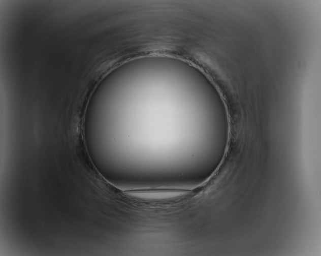 X0000088051169200705251316